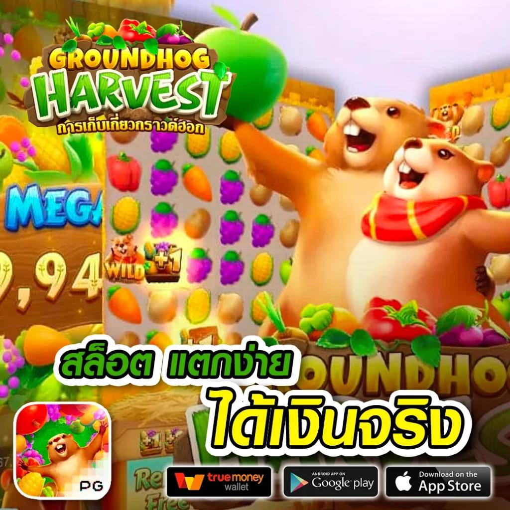คาสิโนออนไลน์ ผลบอลสดทุกลีก: แหล่งรวมเกม และโปรโมชั่นเด็ด